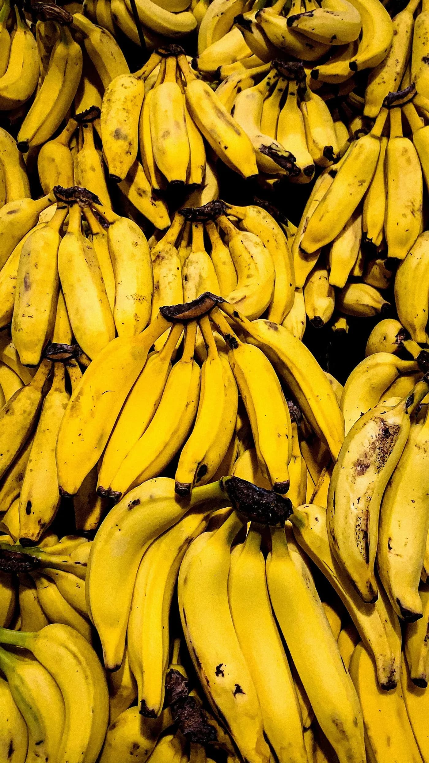Hands of ripe bananas stacked for sale