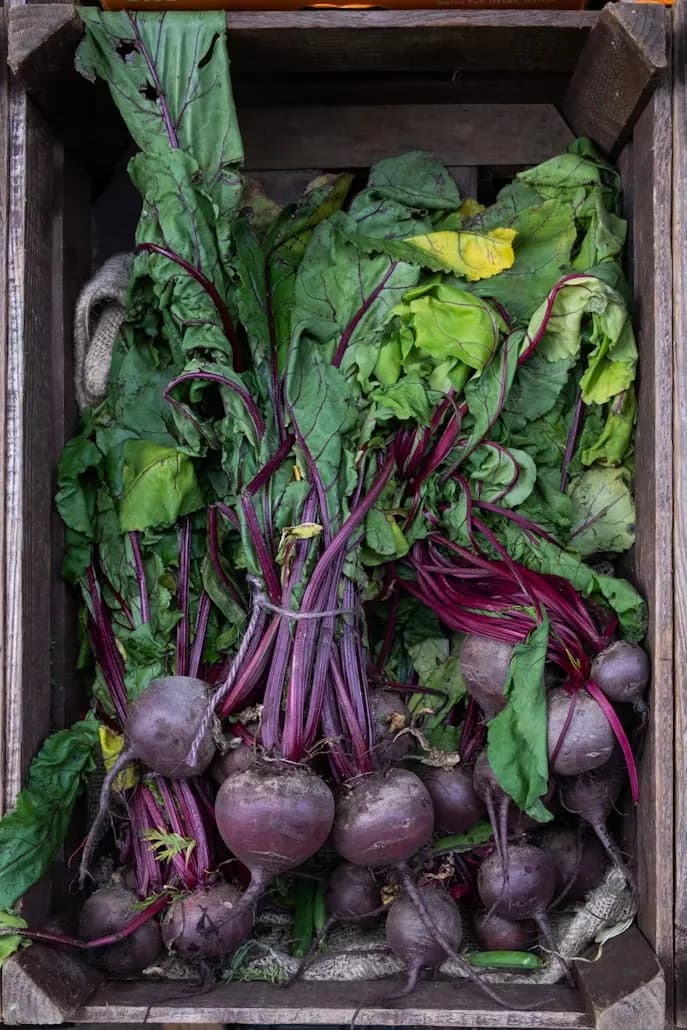 Beetroot bunched with stems and leaves