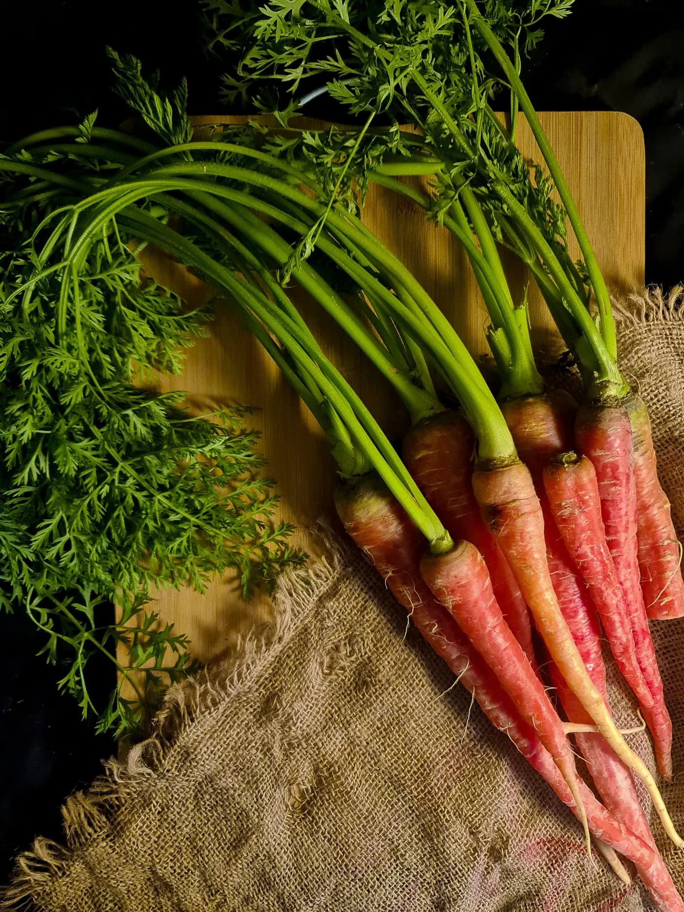 Freshly pulled carrots with the tops still on