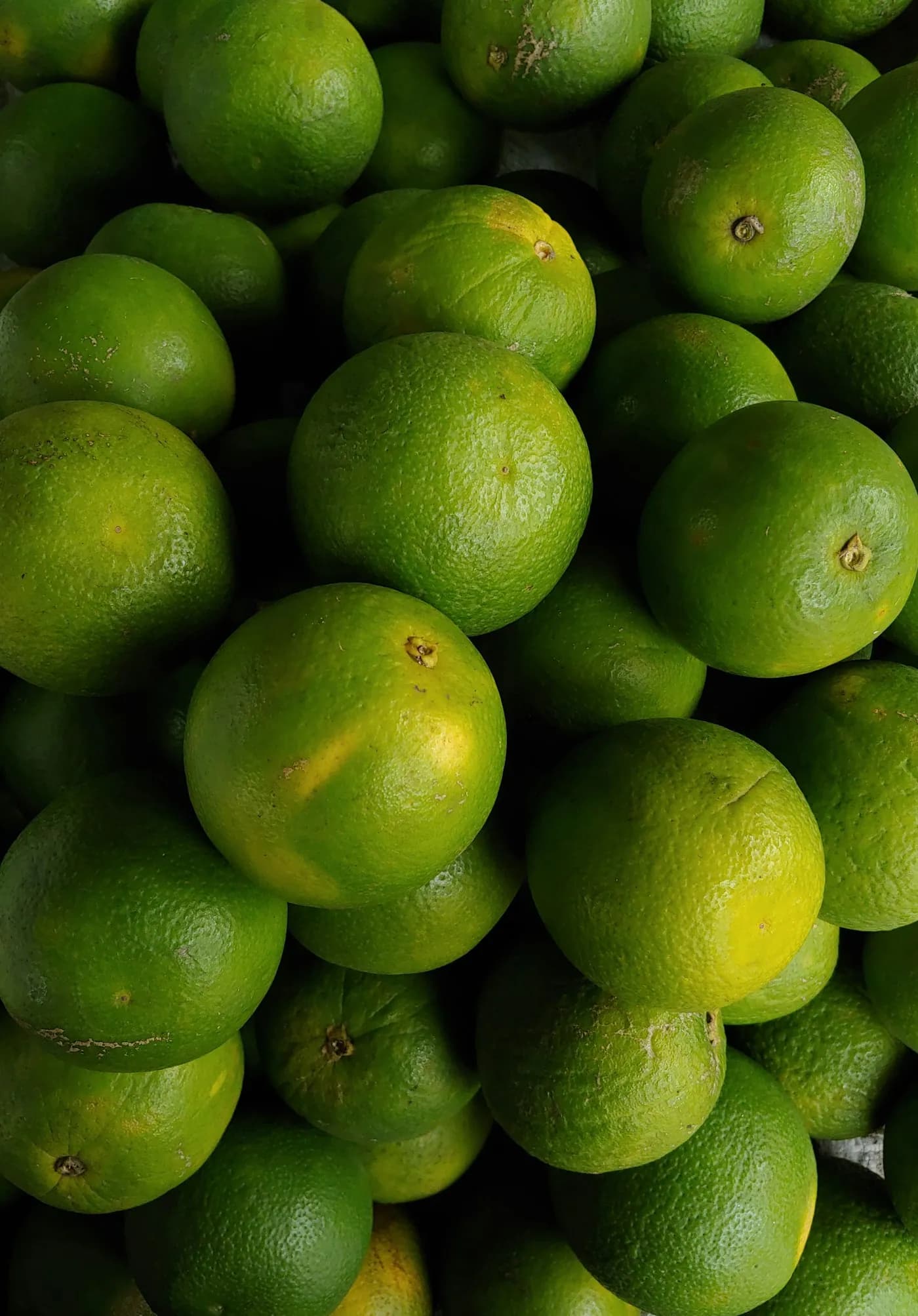 Sweet limes graded and stacked after harvest