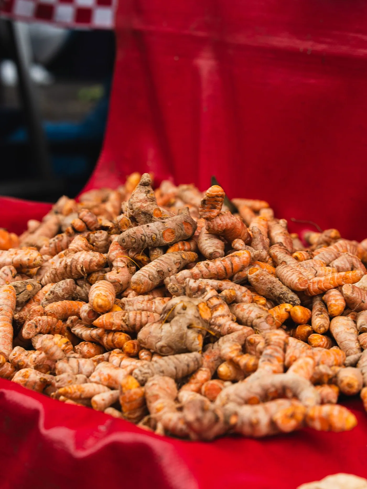 Harvested turmeric rhizomes heaped on red cloth